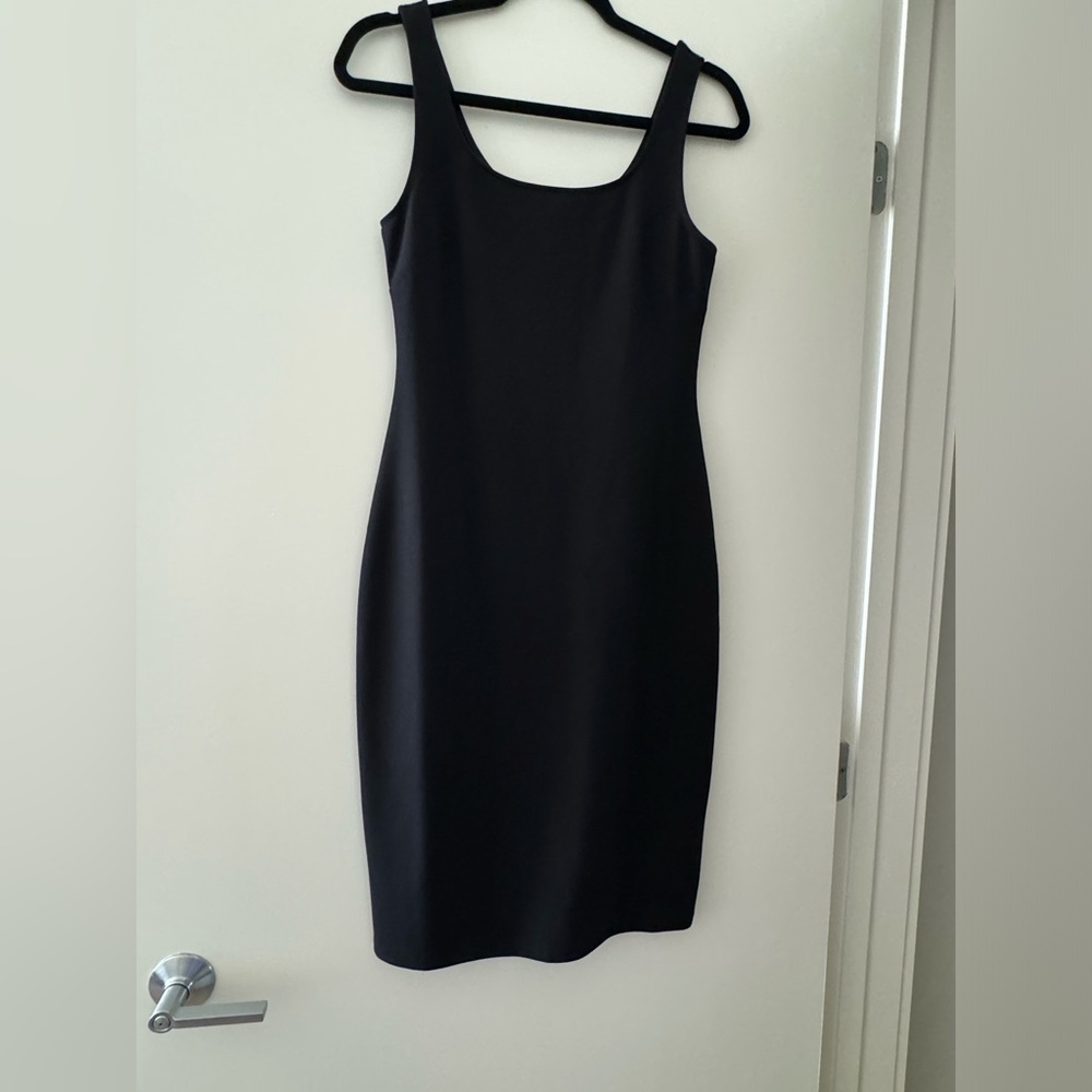 Aritzia Babaton Anya Dress